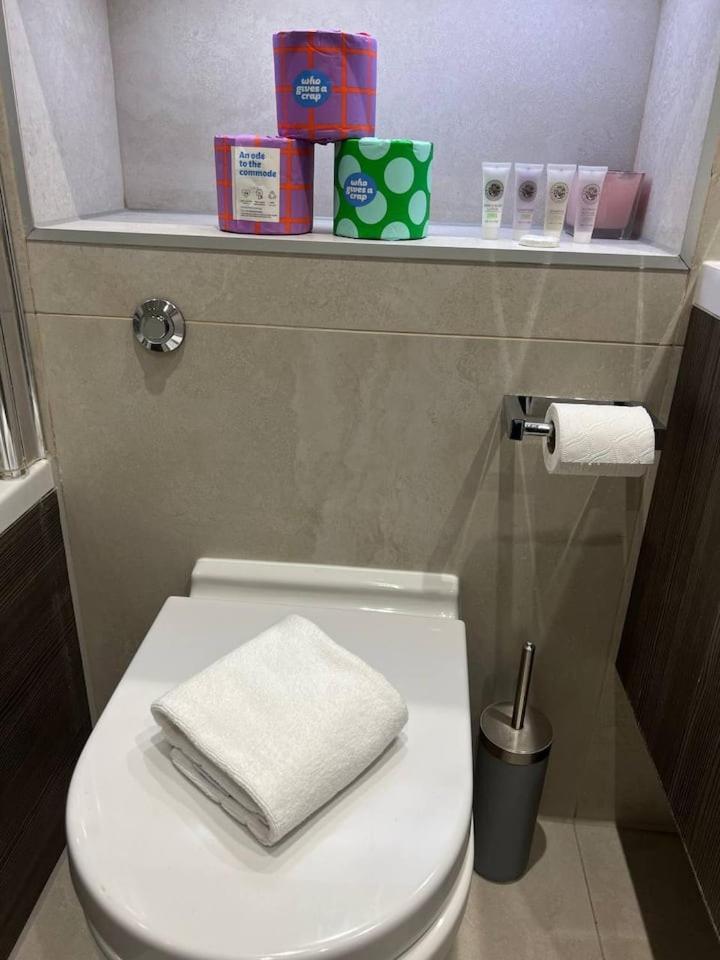 Apartment Estatesmen Chelsea Bridge Flat London
