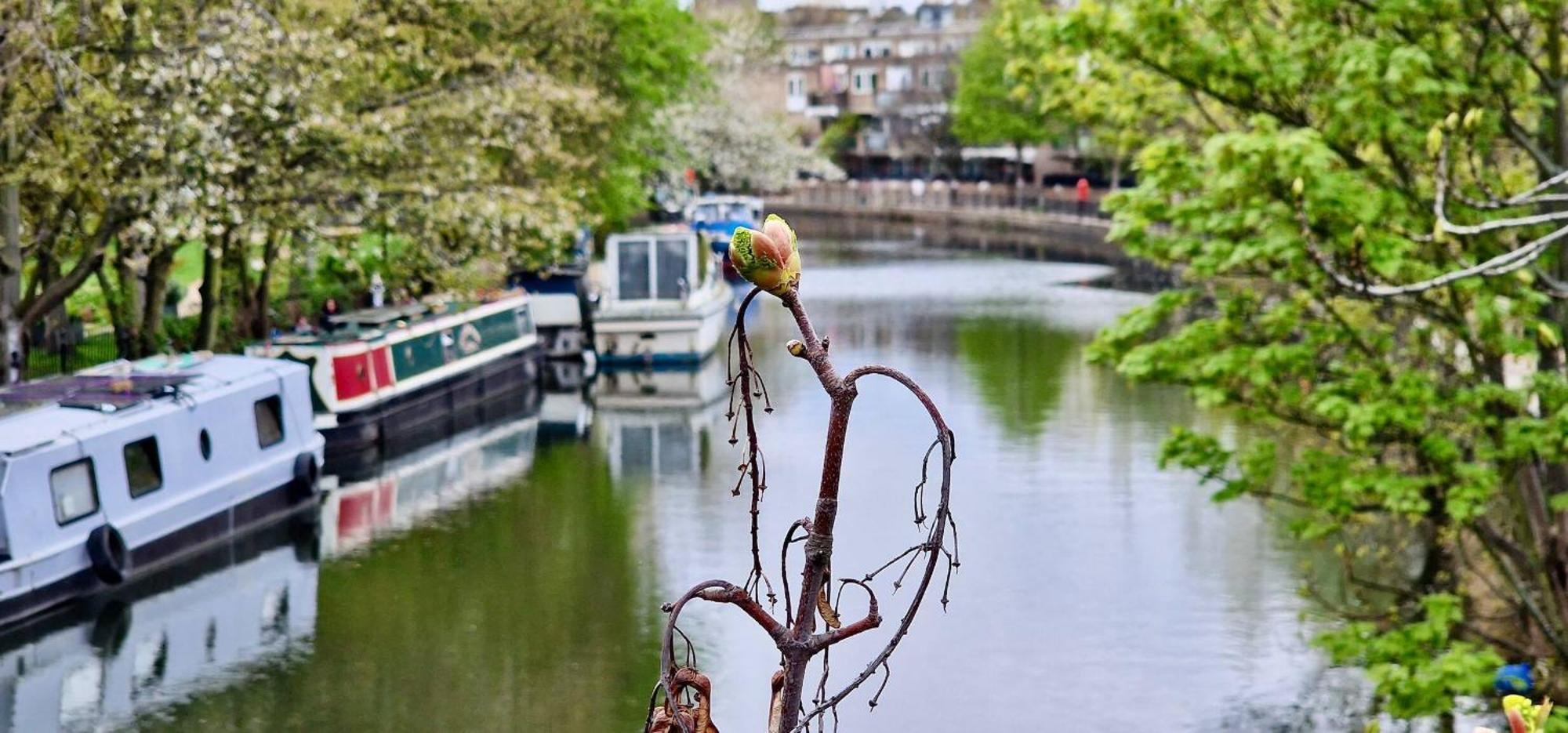 Canal View 3 Bed Flat - Little Venice! Apartment
