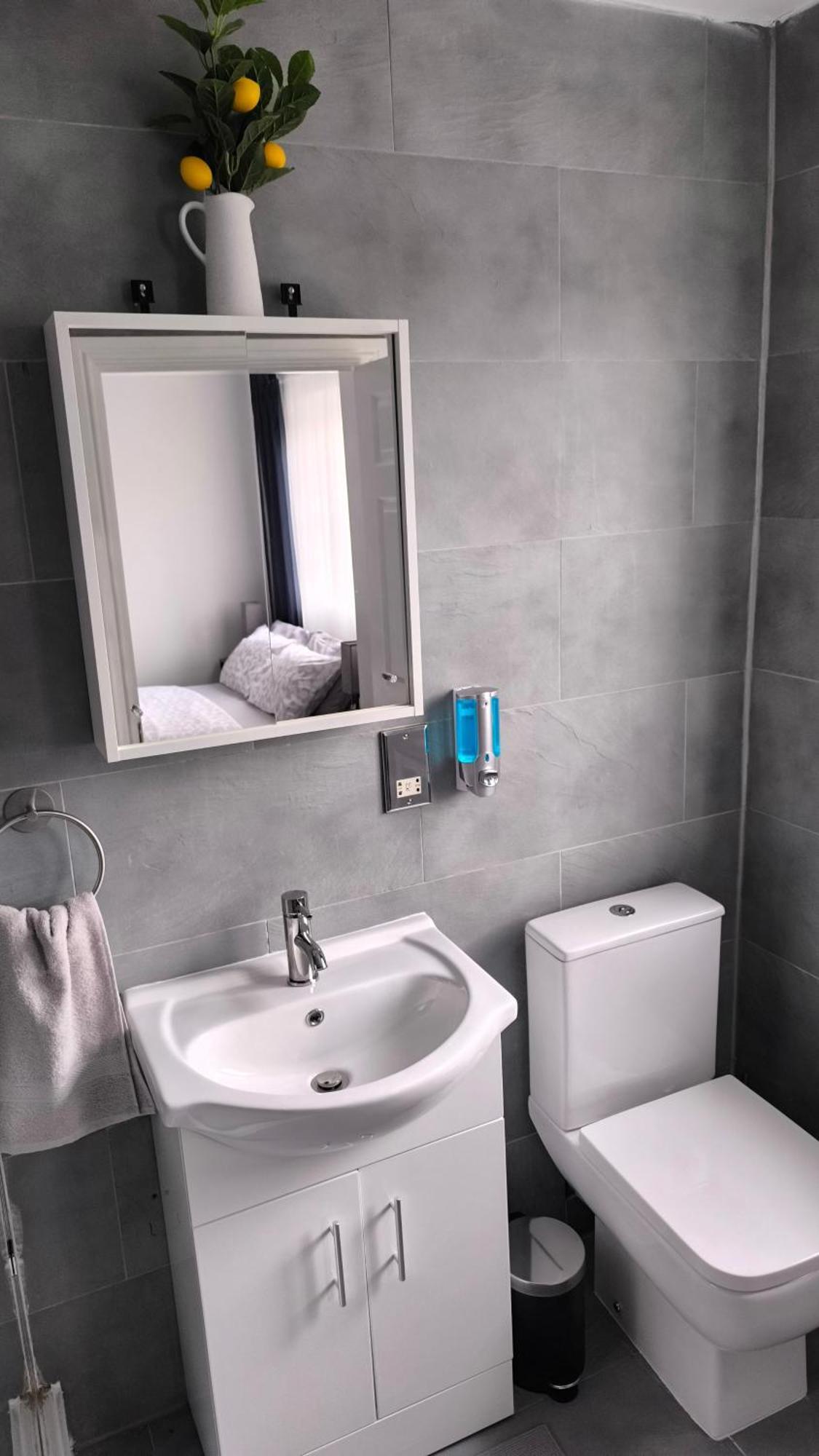 Fully Equipped Parkside 5min From Colliers Wood Station R4 * London