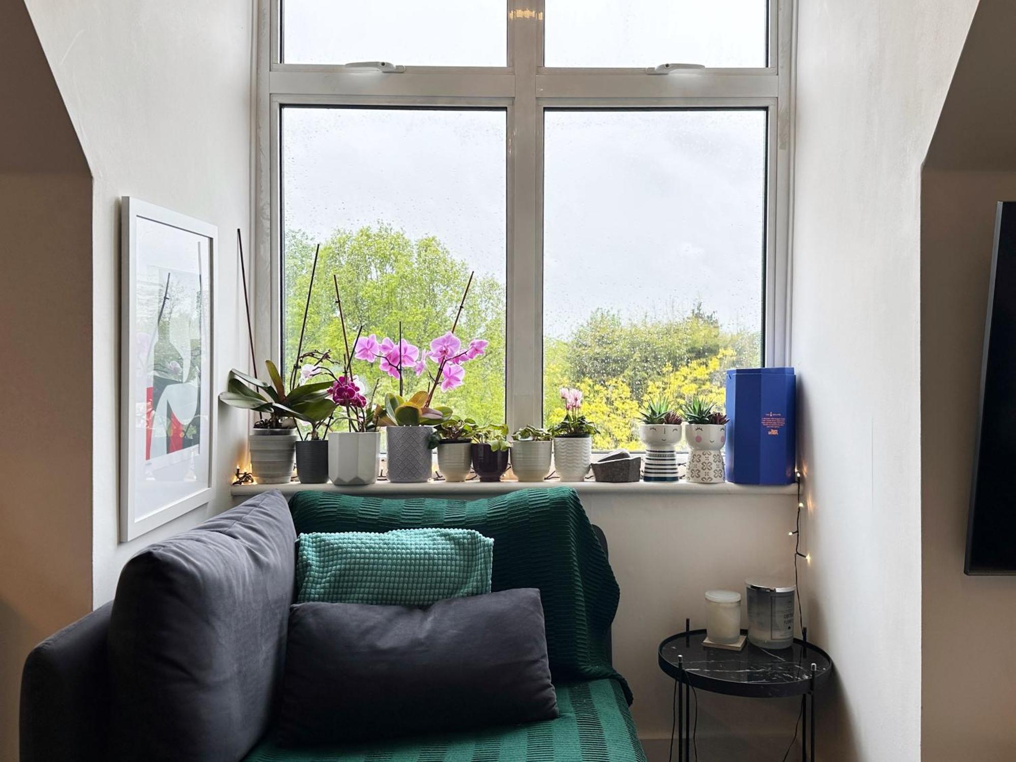 Luke's Place In West Hampstead * London