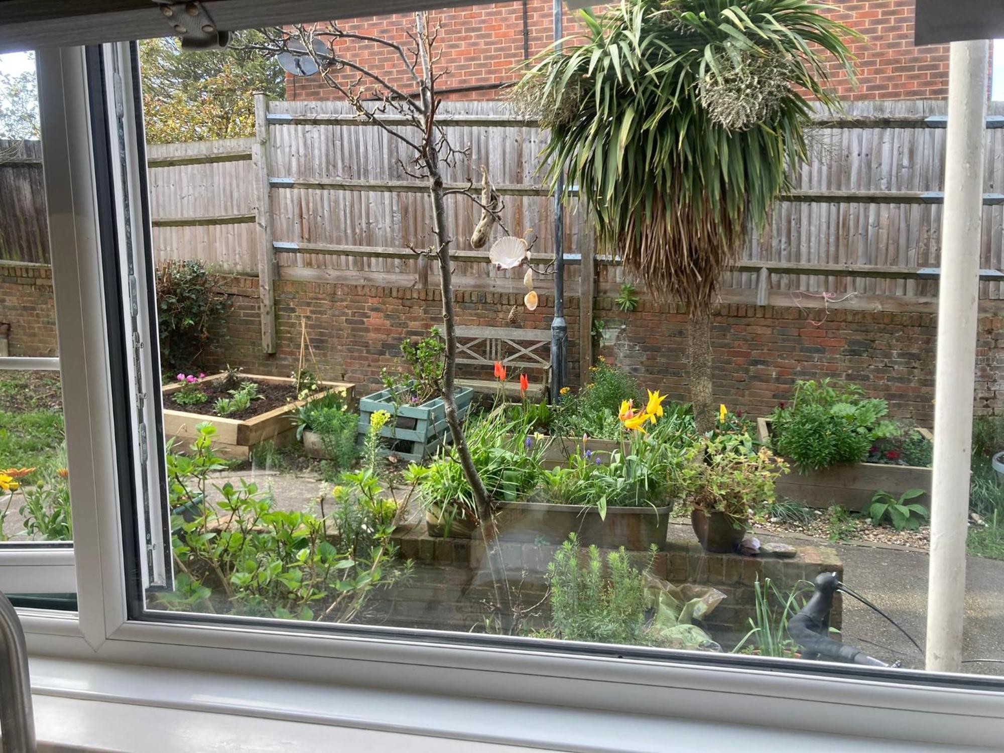 Stylish House With Many Toys And Games London