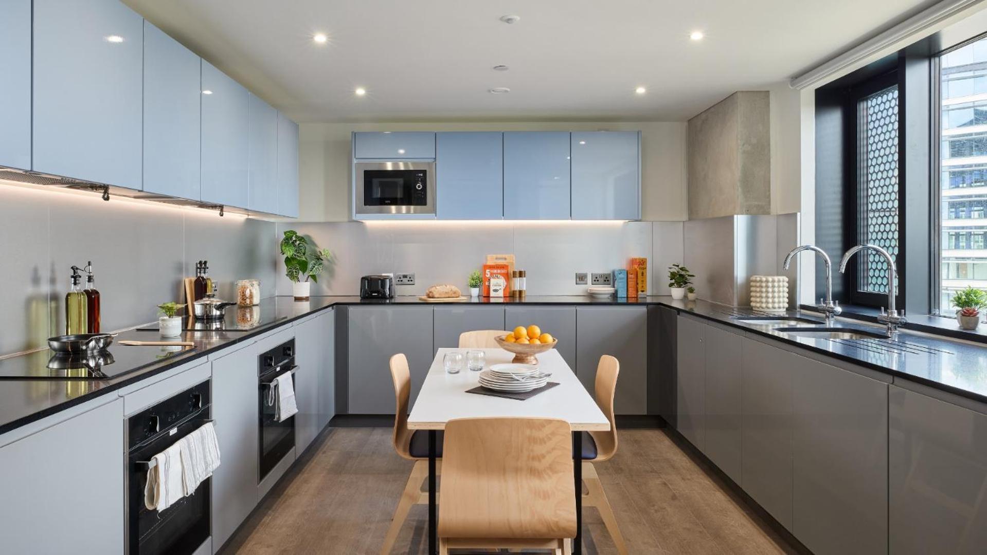 Apartment Student Only 3 Bed Private Flat With Shared Washroom Battersea *