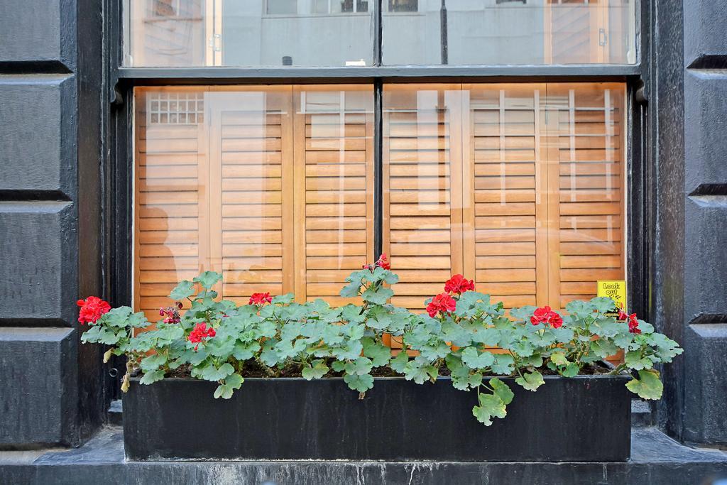 Appartement The Westend Residences Londen
