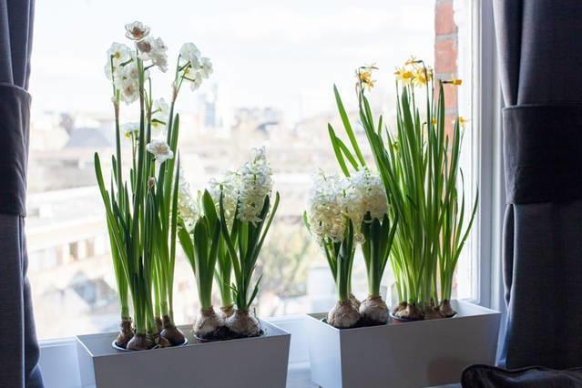 Sabellis House - Moments From The Big Ben London