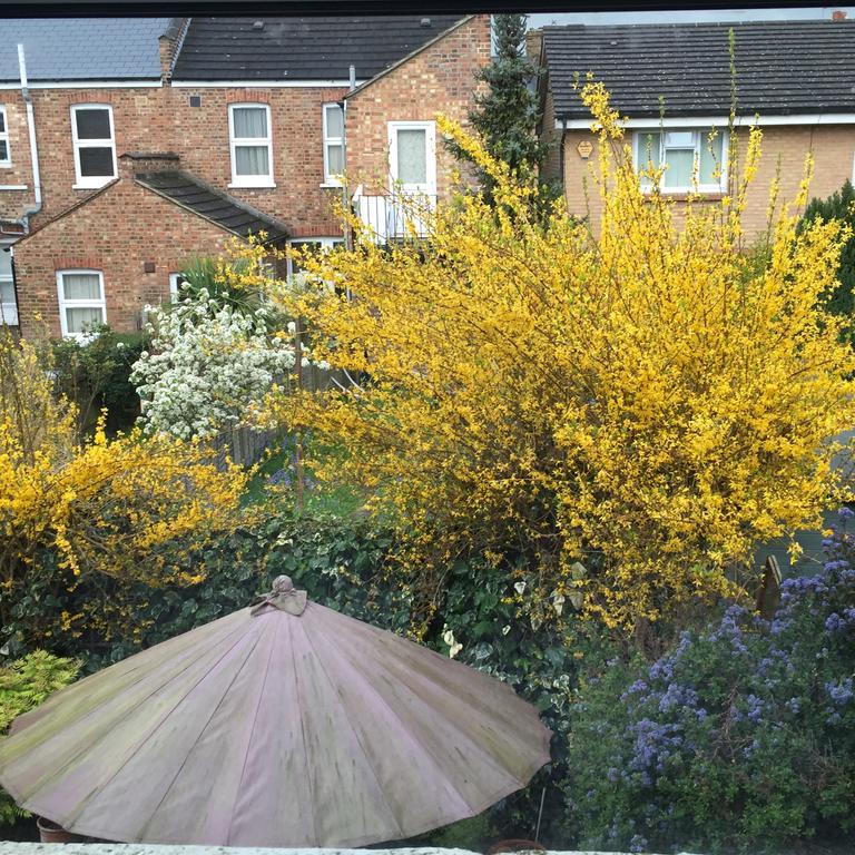 Catford Homestay Homestay *