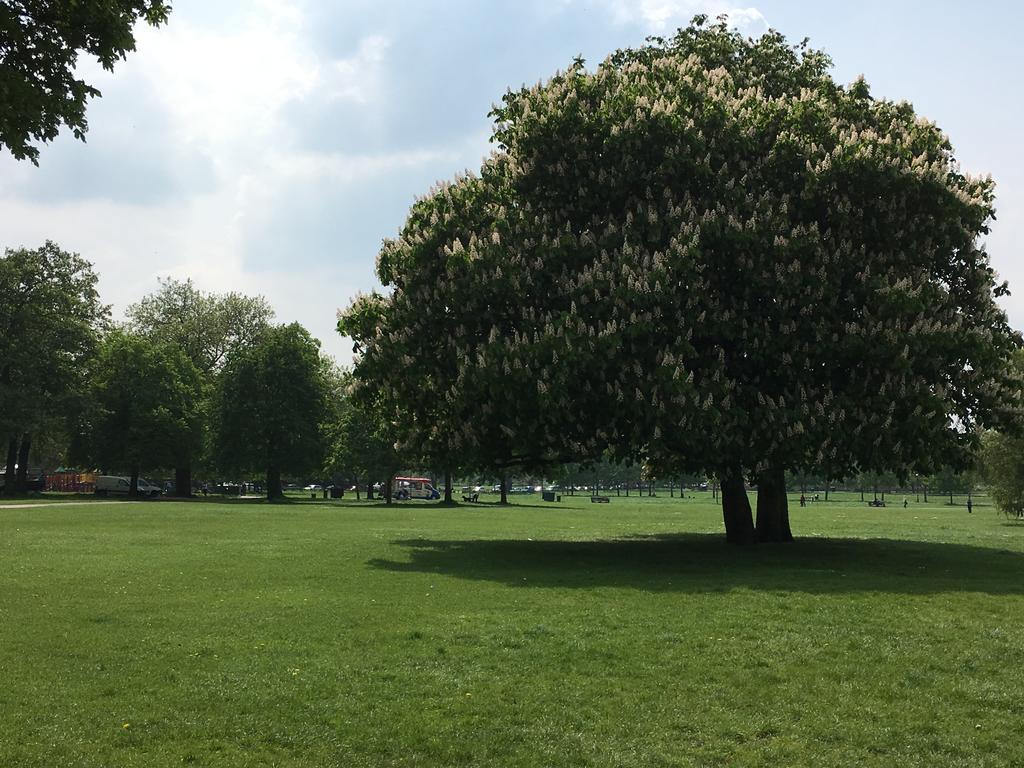 Hotel Clapham South Dudley London