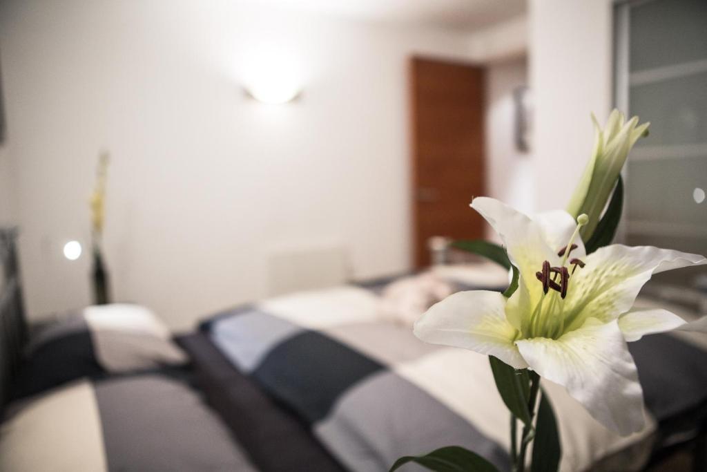 New Apartment London