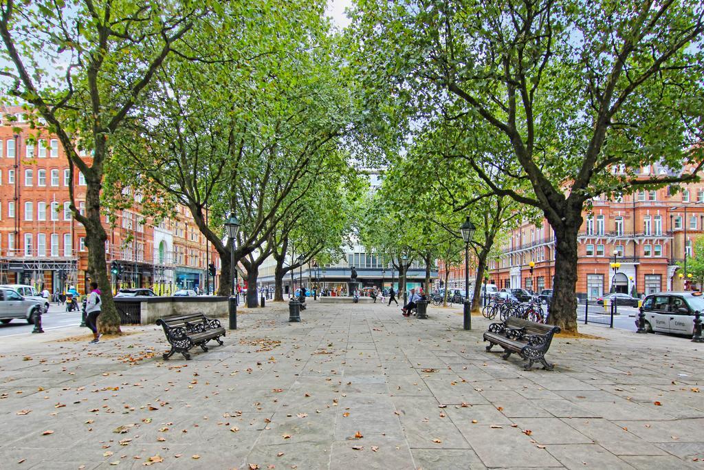 Apartment Lifestyle - Chelsea Bridge *