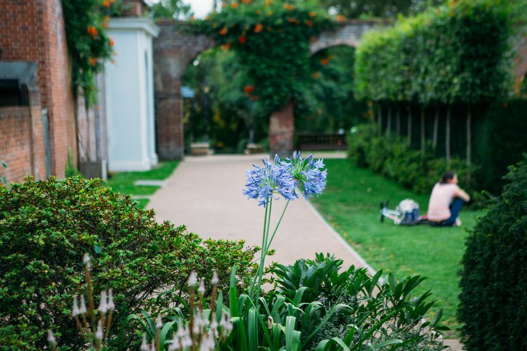 Safestay Kensington Holland Park (adults Only) Hostel