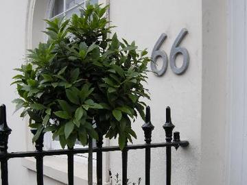 Belgravia Guest house 4*