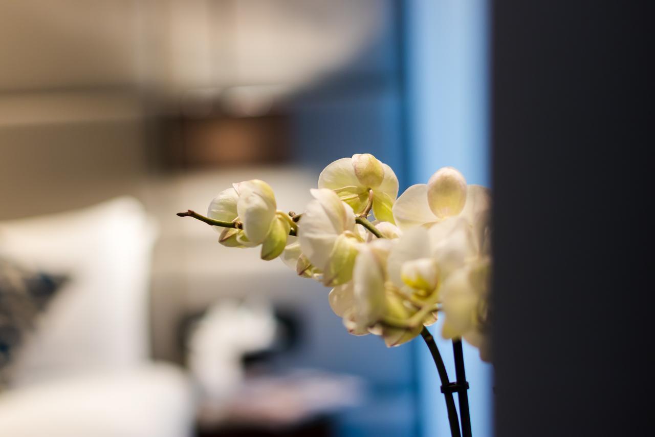 Montcalm Chilworth Townhouse, Paddington