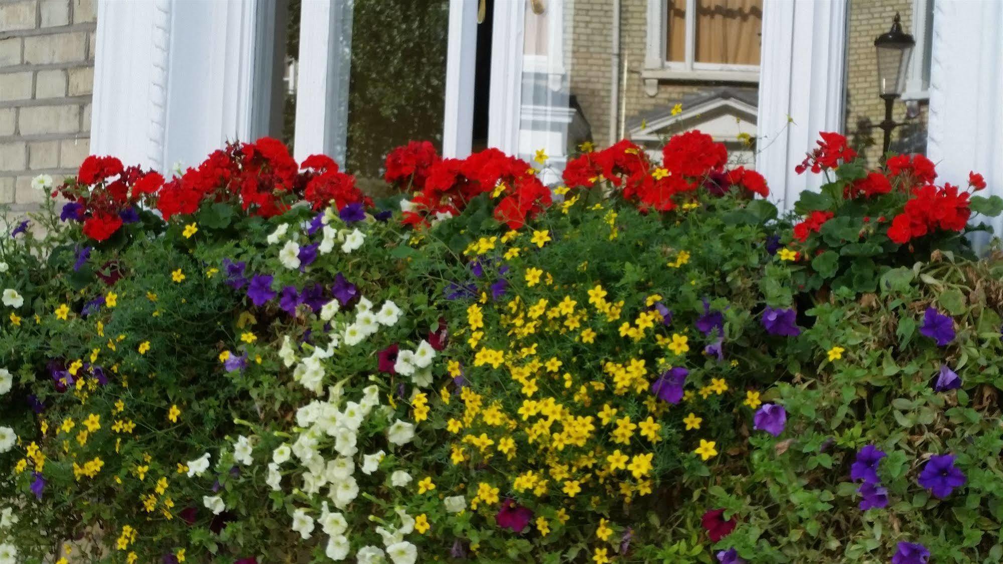 Sara Bed & Breakfast London