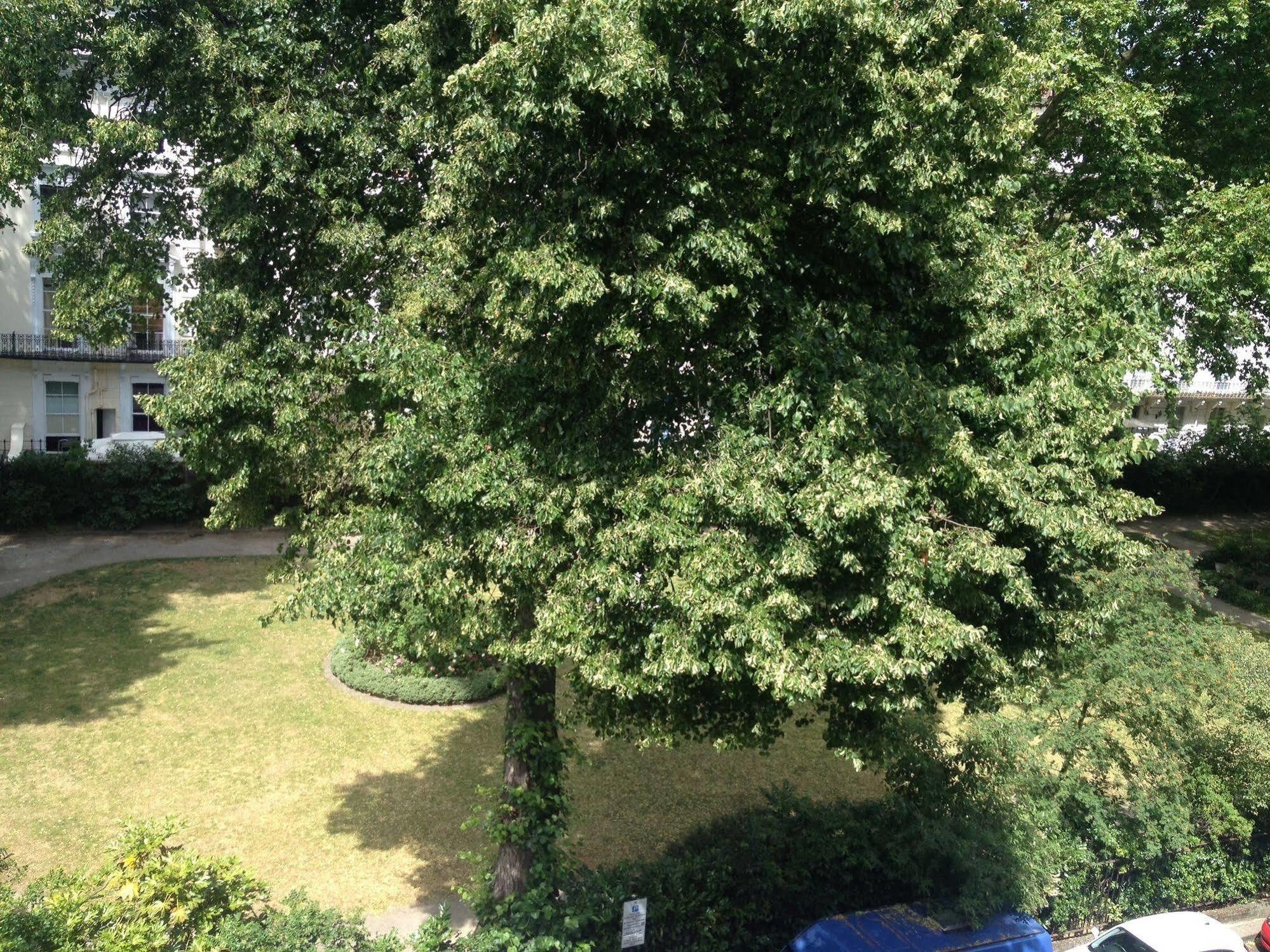 Hotel Kensington Court Notting Hill London