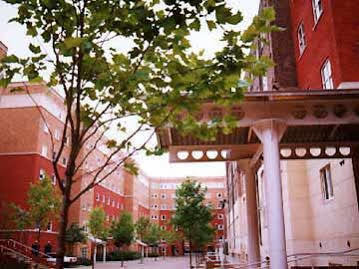 Great Dover Street * London