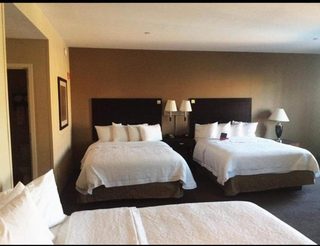 Accommodatie bij particulieren Guest