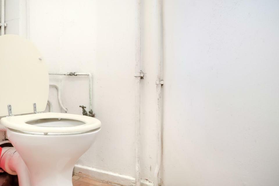 Greatorex House Homestay *