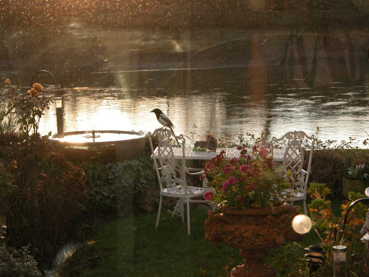 Frühstückspension Chiswick Riviera With Free Parking *