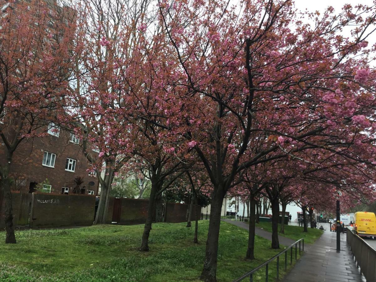 Al Iram Pensión Londres