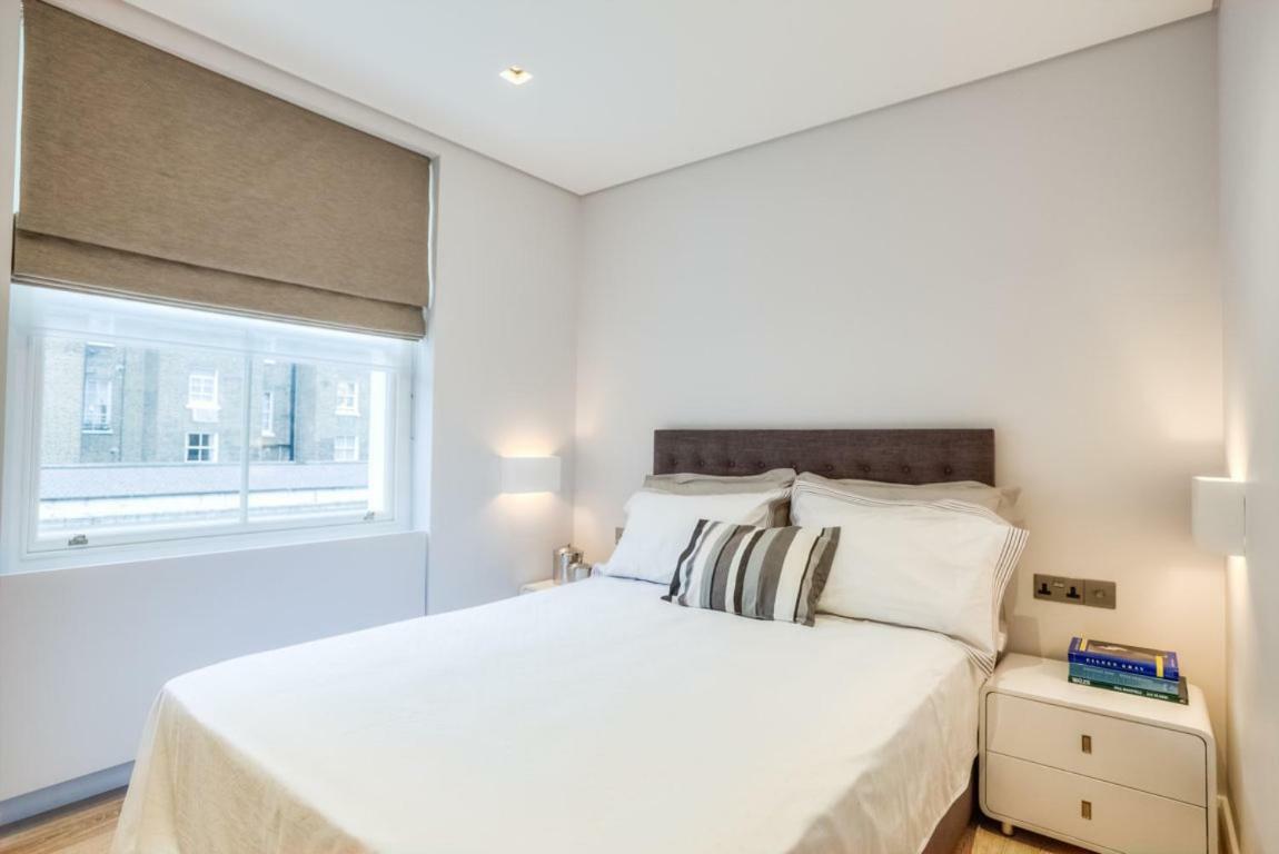 Basement Sussex London