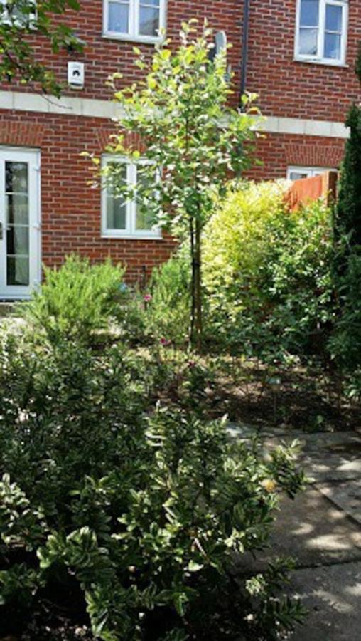 Apartment Single In Woolwich Arsenal London