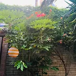 Chelsea Private Garden Maisonette