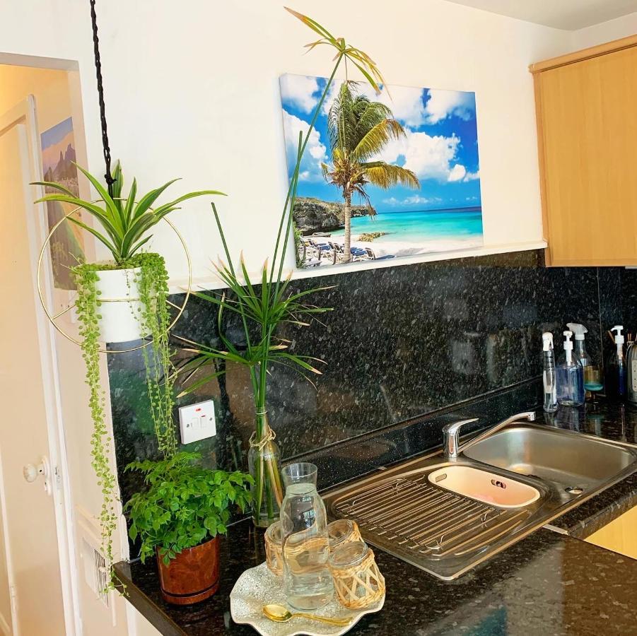 Garden Beautiful Cozy Flat , Recent Decorated. Apartamento *