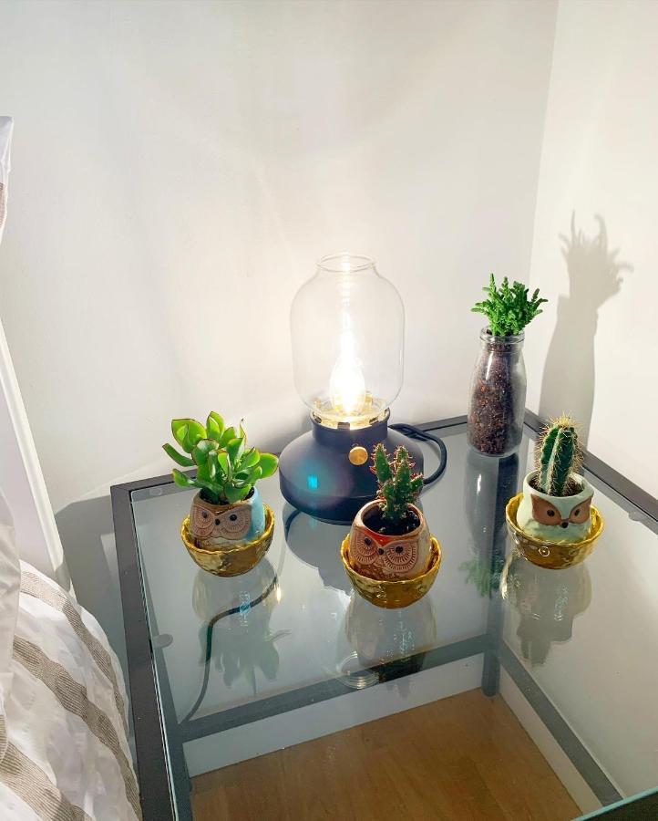 Garden Beautiful Cozy Flat , Recent Decorated. Apartamento