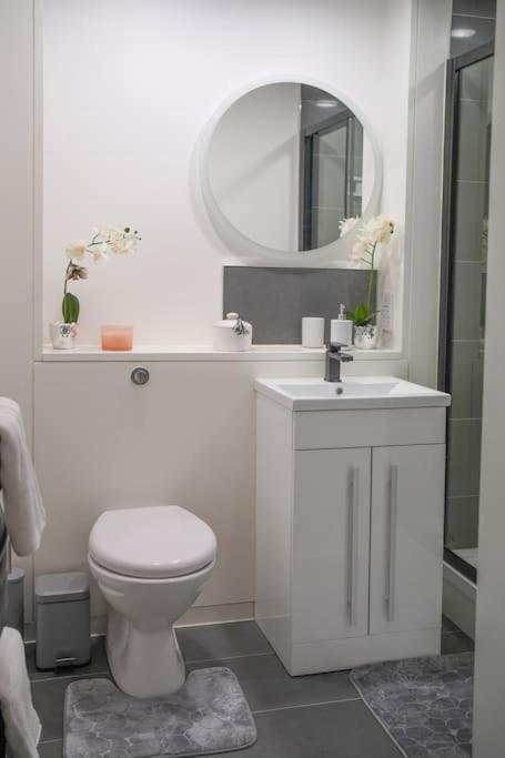 Newly Refurb Studio Shoreditch Apartment London