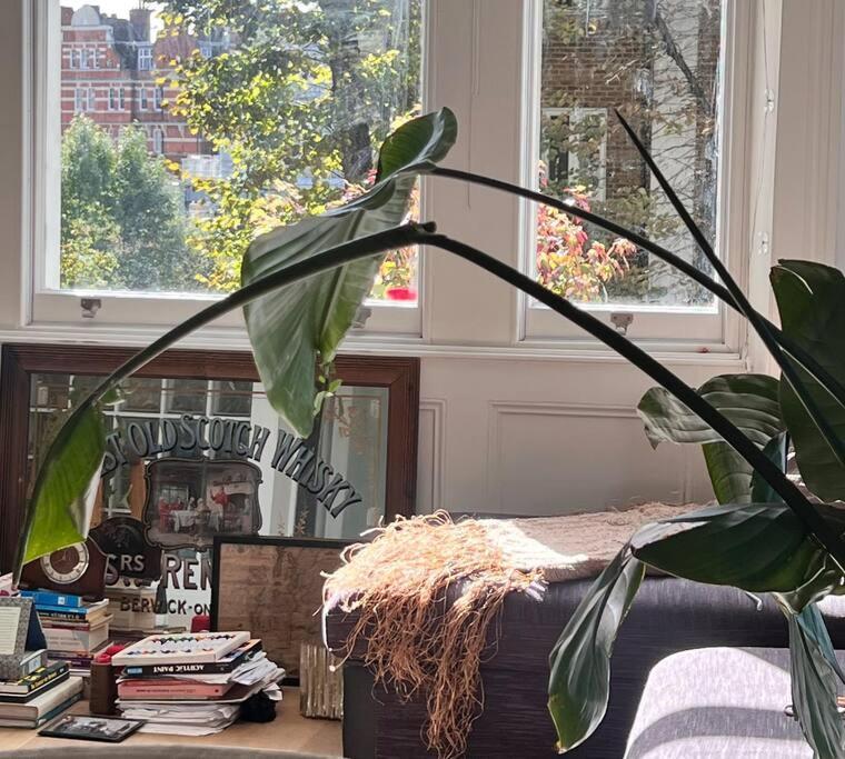 Leilighet Lovely Flat Near Holland Park *