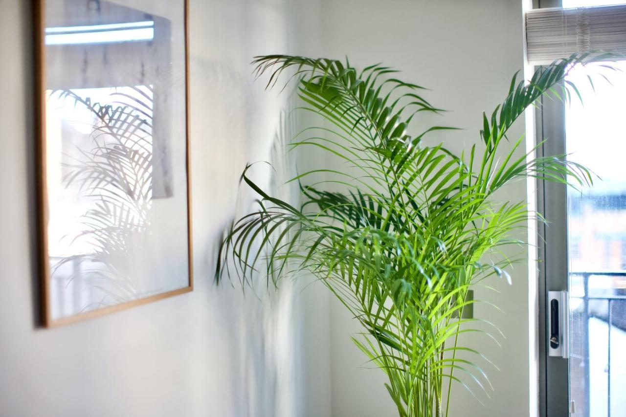 Apartment Zen Life With Urban Views - E8 Chic *