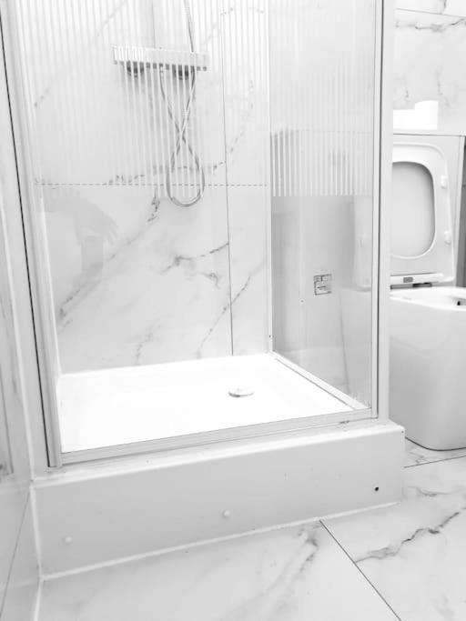 Ensuite With Kitchen Modern Large Double-bed In Zone 2 Apartment