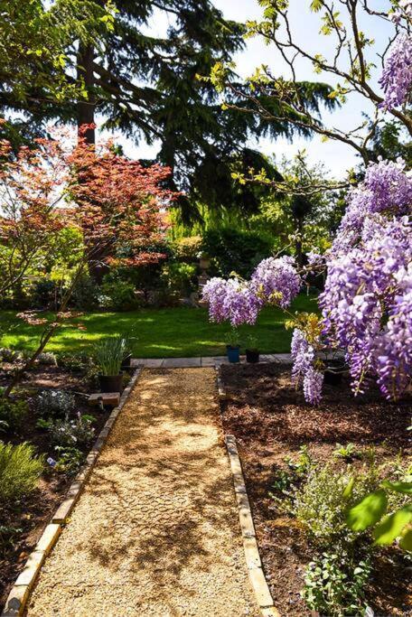 Spacious 2 Bed Garden Flat By The Thames+parking Apartment
