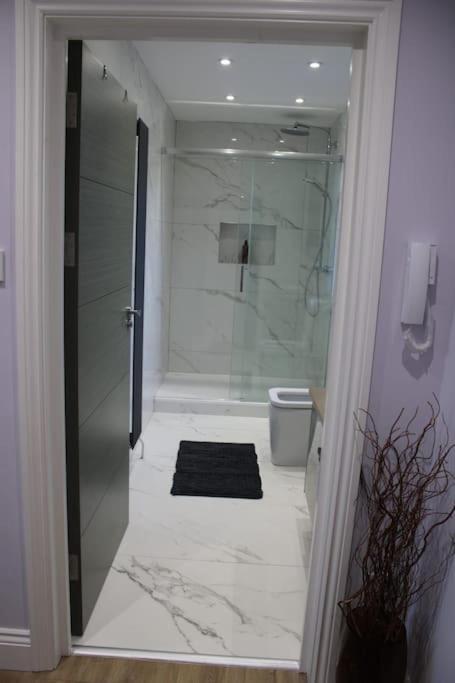 Lavish Near Wembley Stadium *