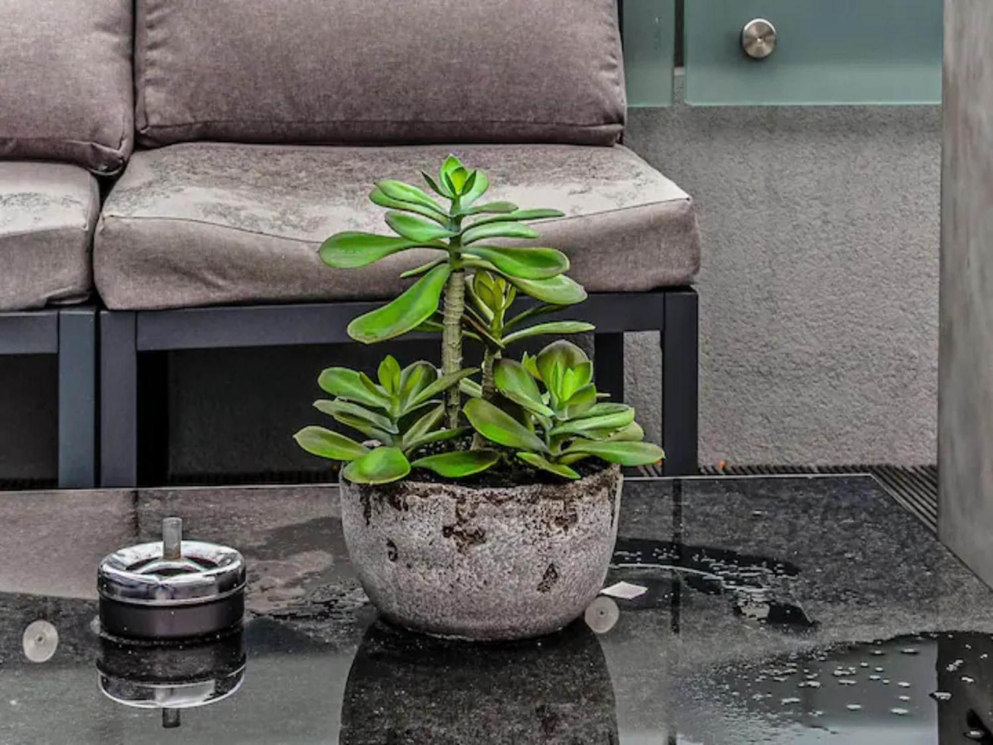 Leilighet Pass The Keys Penthouse Oasis In Trendy Fulham *
