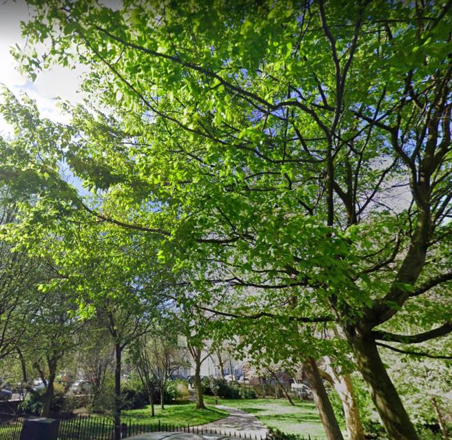 Notting Hill Light & Airy London