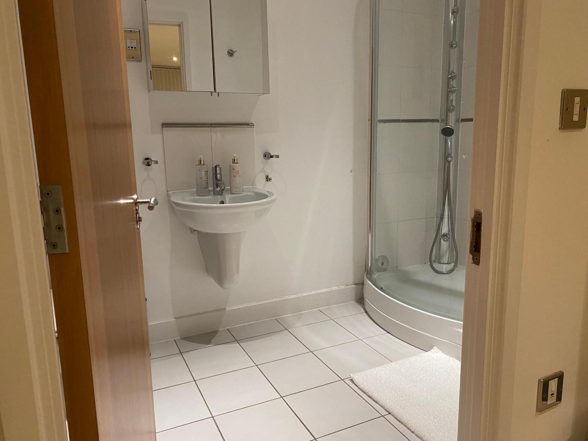 Leilighet Royal Docks Penthouse