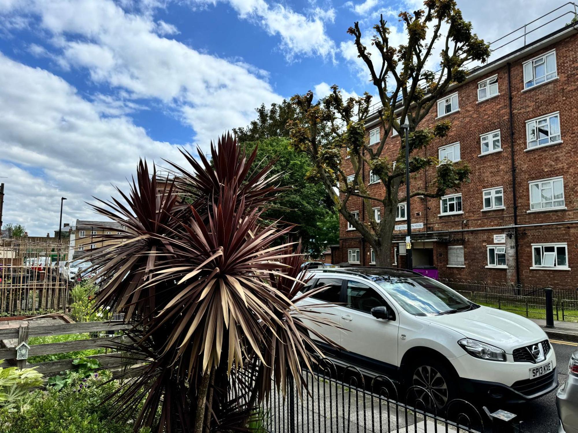 Renovu Exclusive * London
