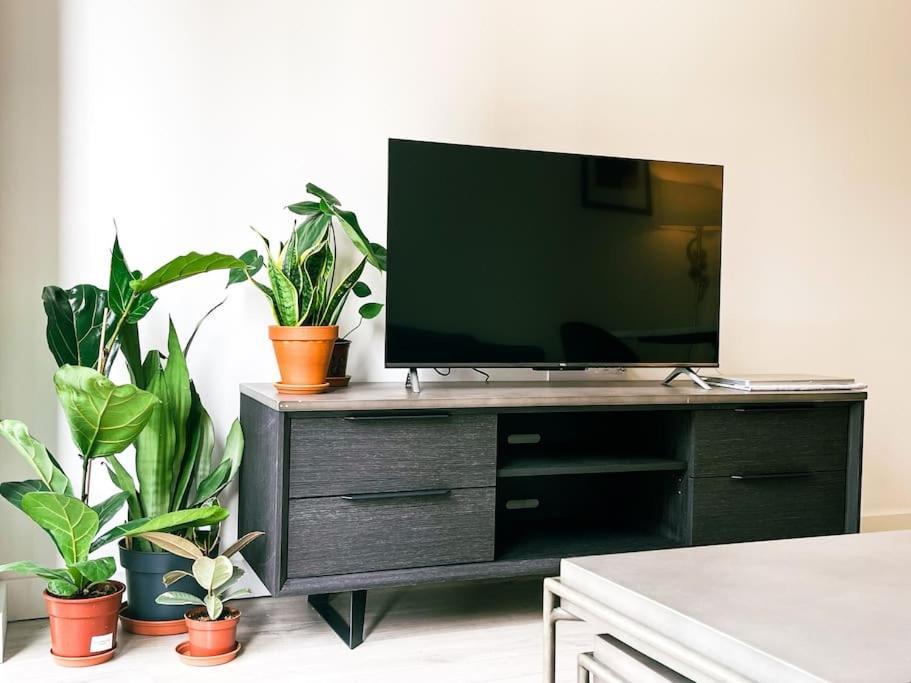Modern New 2 Bedroom Flat