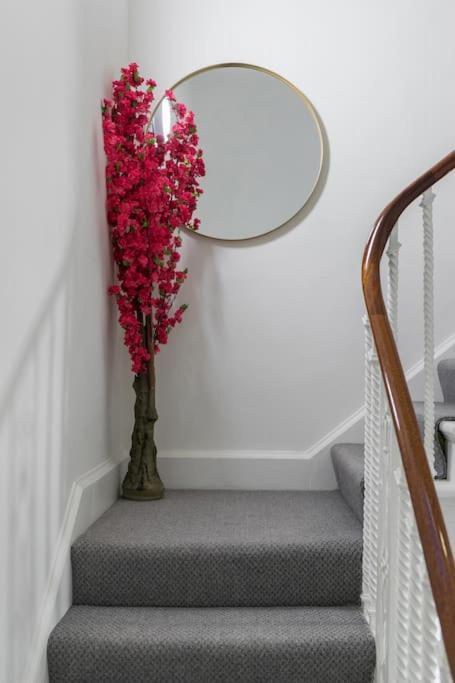 Elegant 1 Bedroom Lower Ground On Harley Street 1h London
