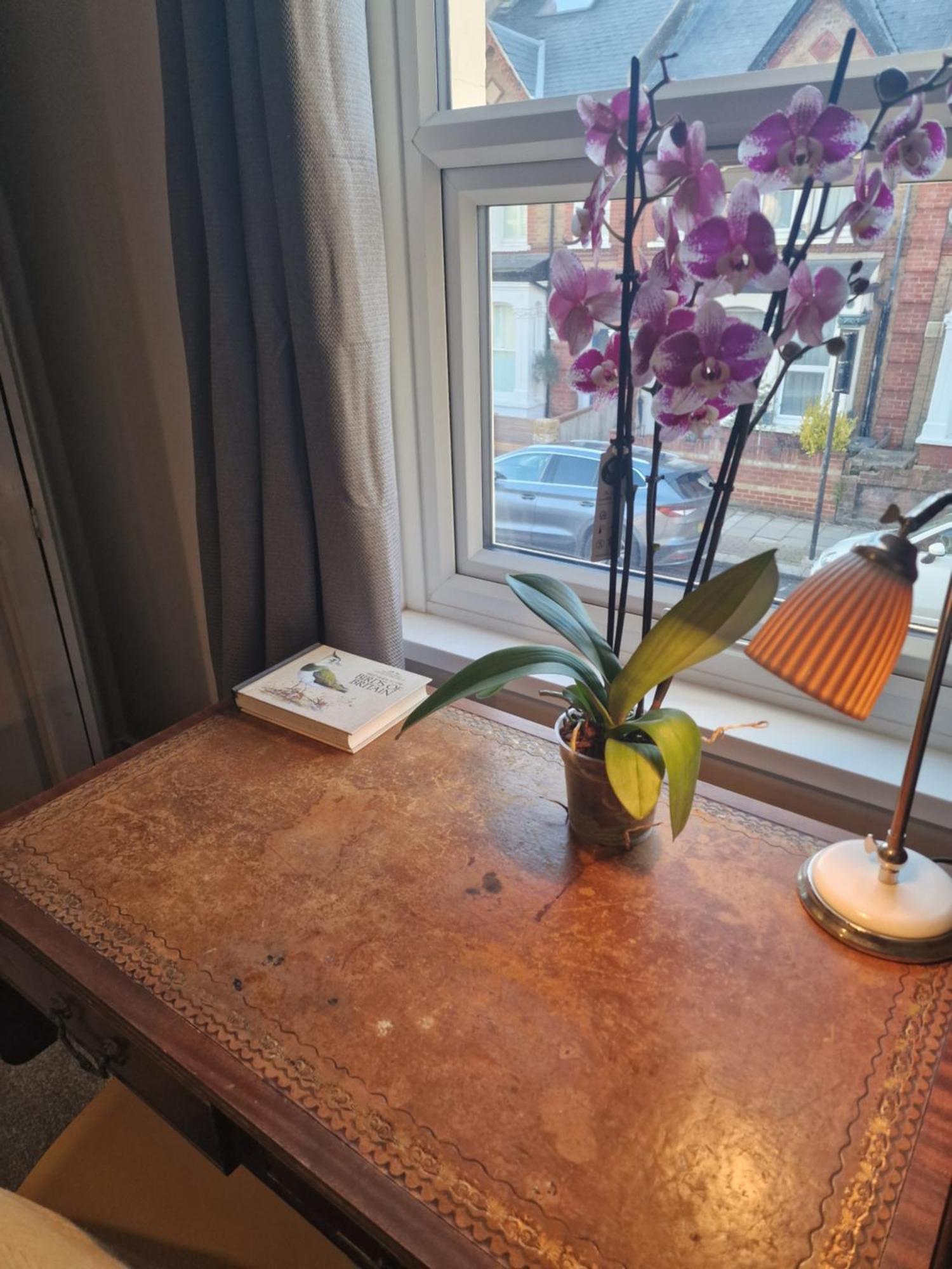 The Bean - Double Bedroom With Private Bathroom Bed & Breakfast *