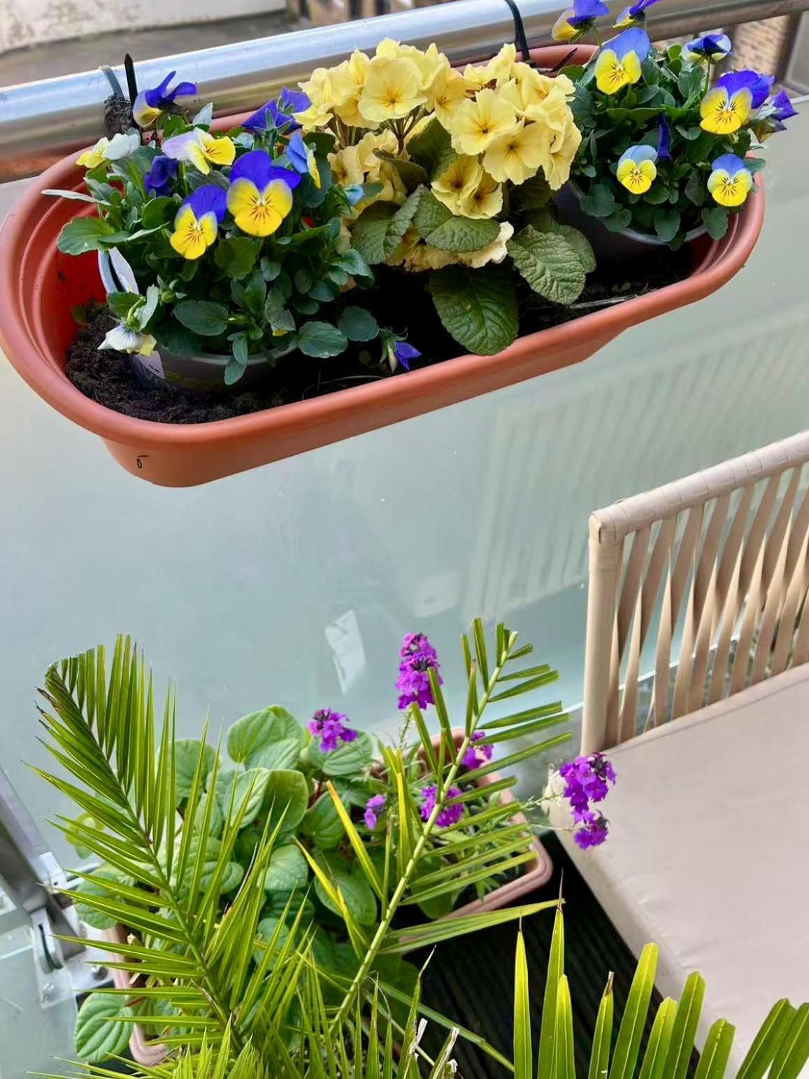 Appartement Spacious Duplex Flat West For Families & Groups