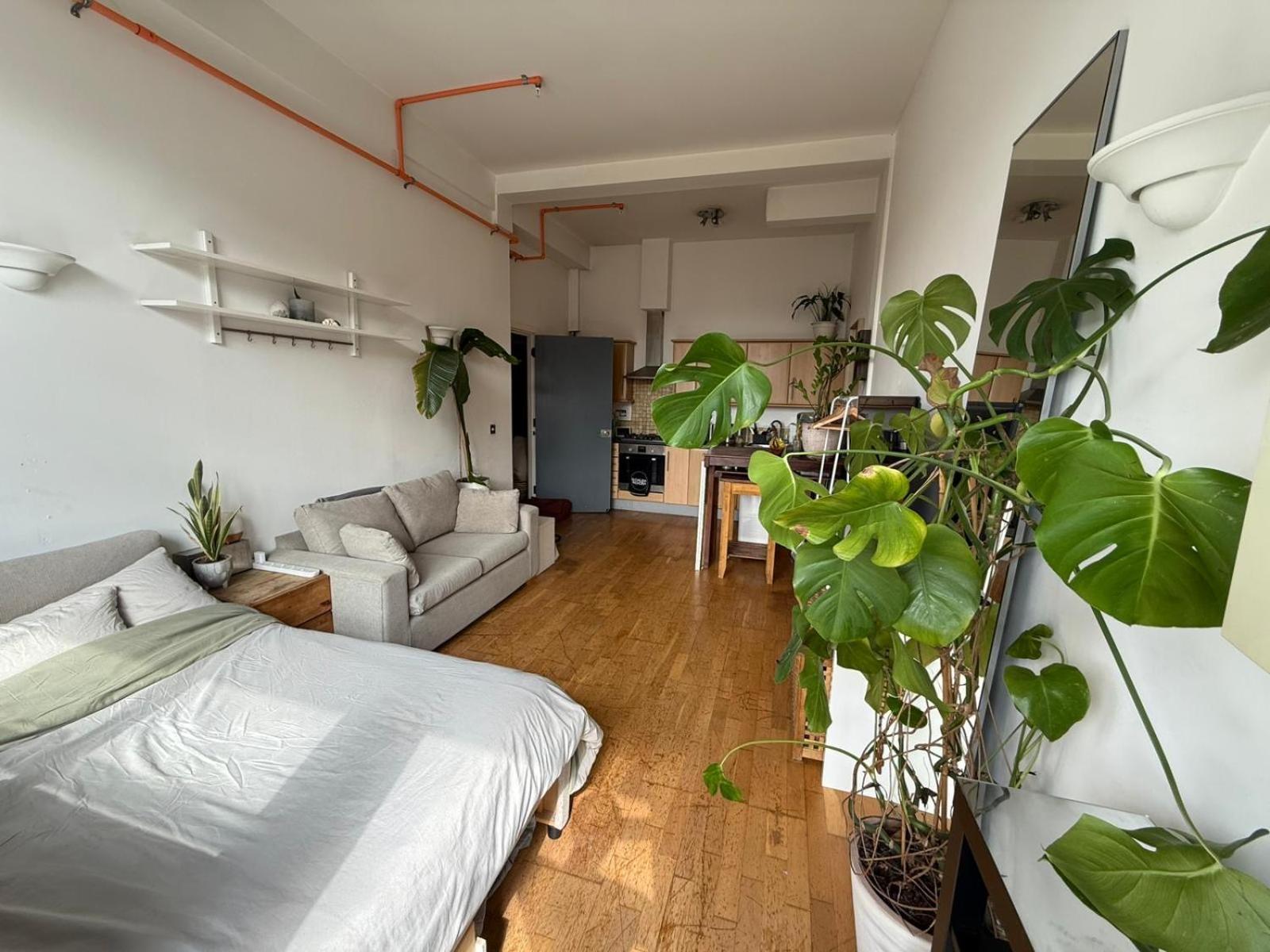 Cosy Private With Shared Bathroom Facilities Pensión Londres