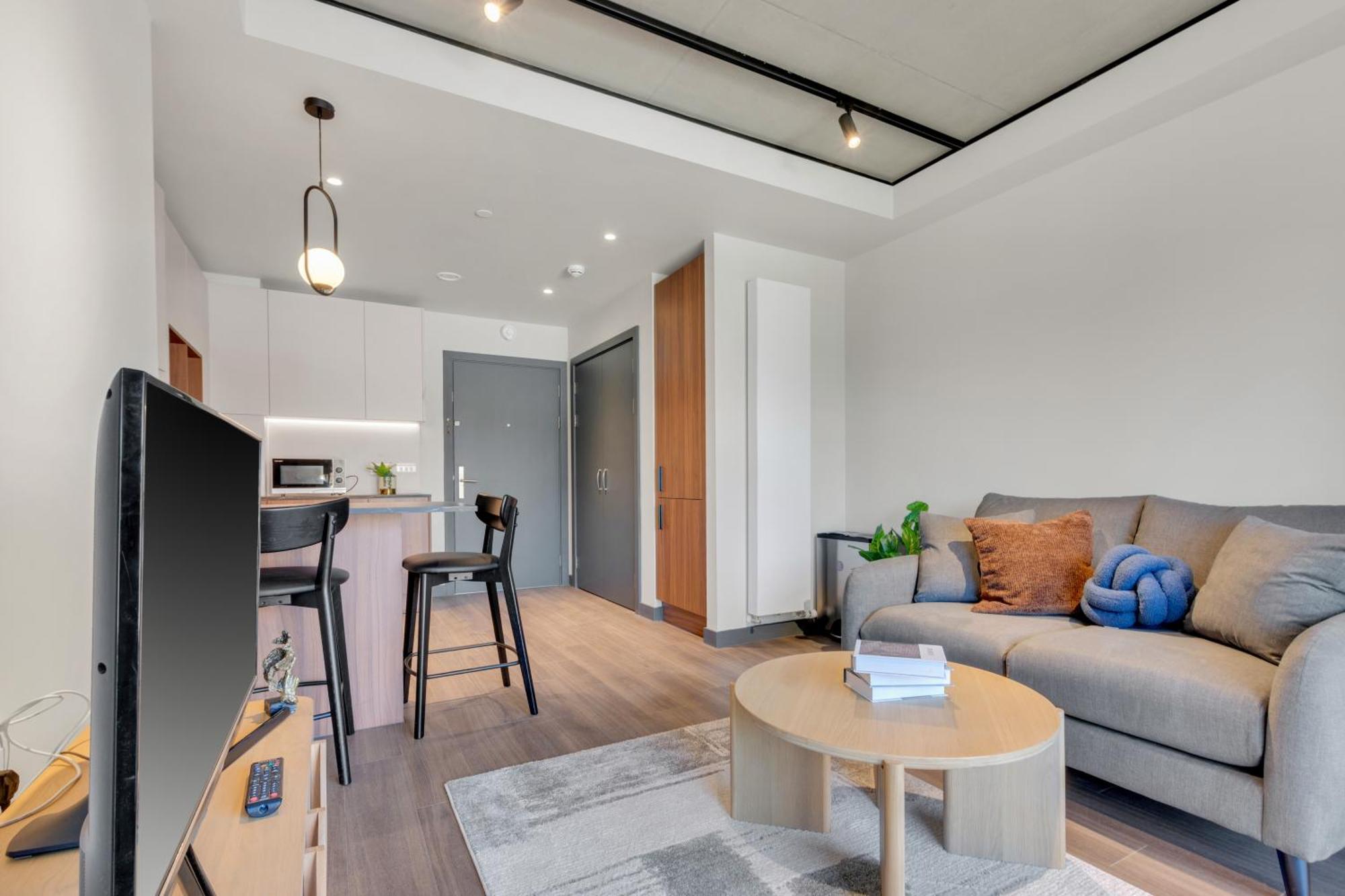 Chic Luna Near Wembley Park By Mysquare Apartment