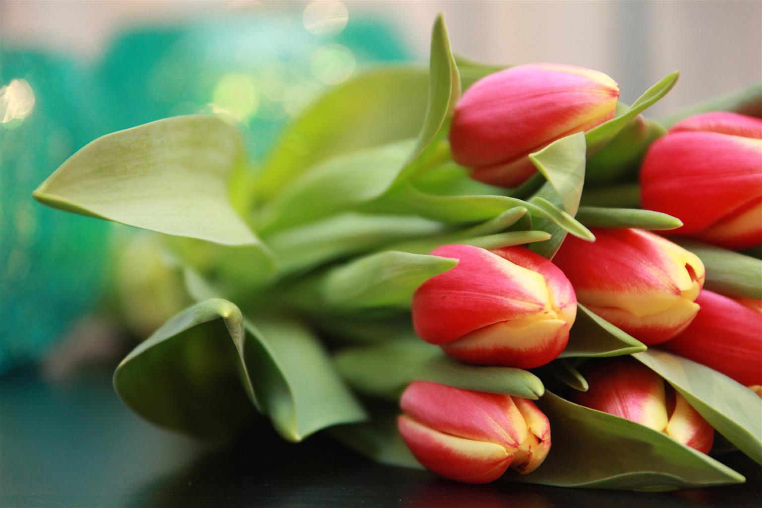 Leilighet Maitrise Ealing -