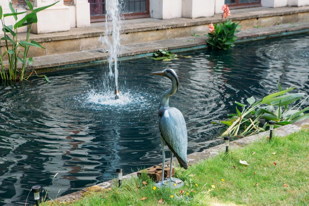 Hostel Safestay Kensington Holland Park (adults Only)