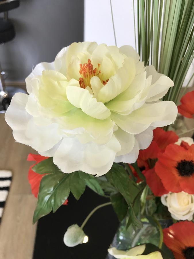 Celestial House Sk Apartment London