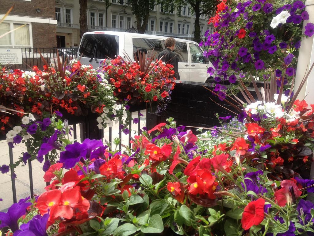 Avon Hotel London