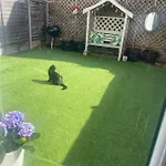 Private Rooms In Excellent Family House ,Zone 2