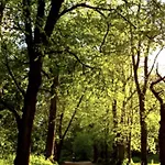 Relax In Highgate Village