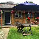 Lovely Garden Chalet In London